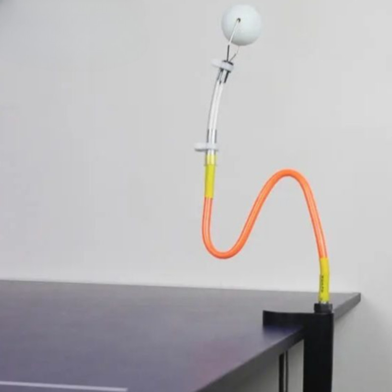 WAP01 Professionele Tafeltenni - Table Tennis Ball recensie en prijs